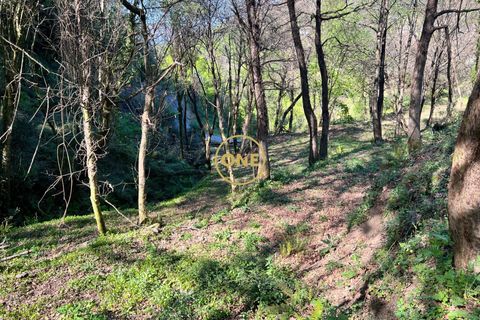 Terra a Terras de Bouro, Braga, Terras de Bouro - € 69.000 | Ref: ONE141548-37 - foto 5