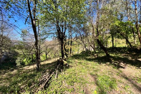 Terra a Terras de Bouro, Braga, Terras de Bouro - € 69.000 | Ref: ONE141548-37 - foto 7