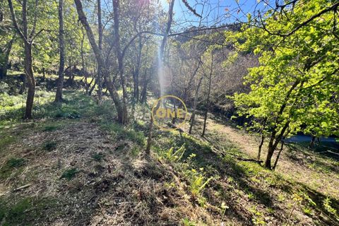 Terra a Terras de Bouro, Braga, Terras de Bouro - € 69.000 | Ref: ONE141548-37 - foto 8