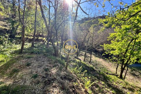 Terra a Terras de Bouro, Braga, Terras de Bouro - € 69.000 | Ref: ONE141548-37 - foto 10