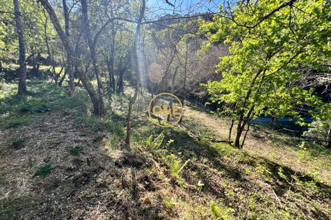 Terra a Terras de Bouro, Braga, Terras de Bouro - € 69.000 | Ref: ONE141548-37 - foto 11