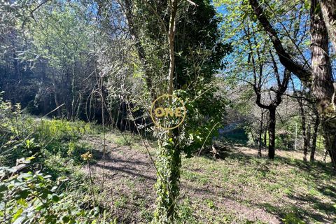 Terra a Terras de Bouro, Braga, Terras de Bouro - € 69.000 | Ref: ONE141548-37 - foto 12