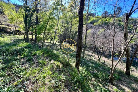 Terra a Terras de Bouro, Braga, Terras de Bouro - € 69.000 | Ref: ONE141548-37 - foto 13