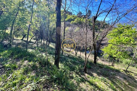 Terra a Terras de Bouro, Braga, Terras de Bouro - € 69.000 | Ref: ONE141548-37 - foto 14