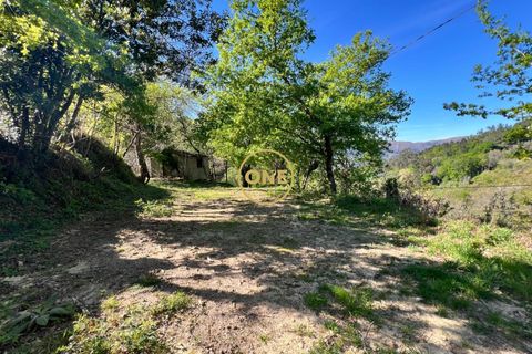 Terra a Terras de Bouro, Braga, Terras de Bouro - € 69.000 | Ref: ONE141548-37 - foto 15