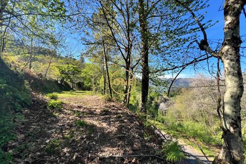 Terra a Terras de Bouro, Braga, Terras de Bouro - € 69.000 | Ref: ONE141548-37 - foto 16
