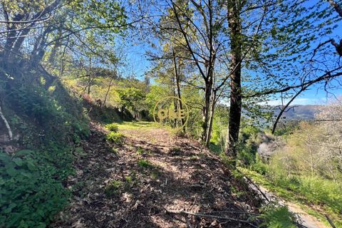 Terra a Terras de Bouro, Braga, Terras de Bouro - € 69.000 | Ref: ONE141548-37 - foto 17