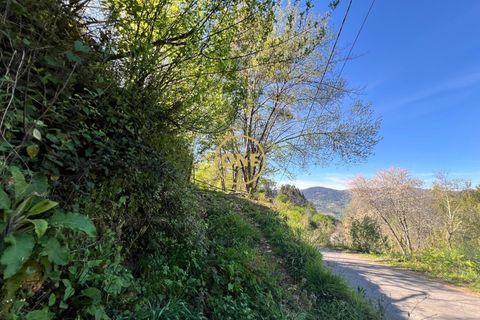 Terra a Terras de Bouro, Braga, Terras de Bouro - € 69.000 | Ref: ONE141548-37 - foto 18