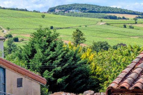 Landejendom i Ige, Saone-et-Loire, Ige - € 320.000 | Ref: 86232706 - foto 25
