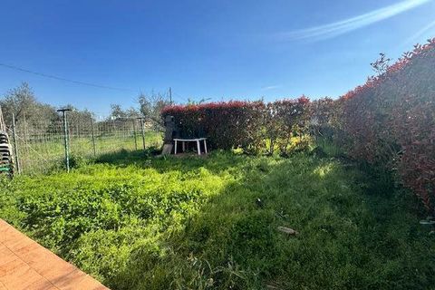 Byhus i Luni, La Spezia, Luni - € 167.000 | Ref: 3575 - foto 11
