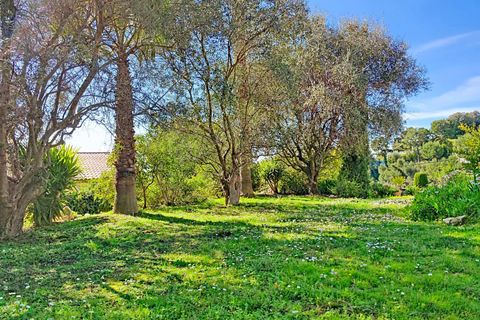 Villa a Nice, Alpes-Maritimes, Nice - € 1.950.000 | Ref: 85828107 - foto 11