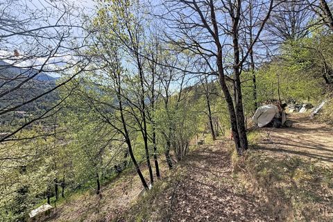 Landejendom i Roquebillière, Alpes-Maritimes, Roquebillière - € 375.000 | Ref: 86818654 - foto 19