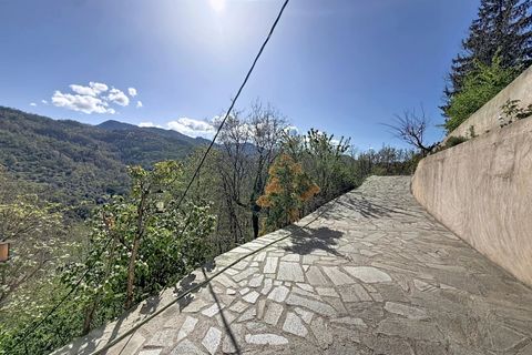 Landejendom i Roquebillière, Alpes-Maritimes, Roquebillière - € 375.000 | Ref: 86818654 - foto 21