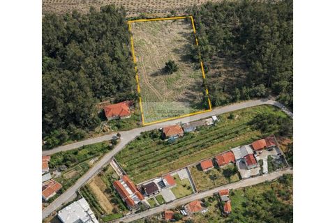 Helårsgrund i Agueda, Aveiro, Agueda - € 66.000 | Ref: 6848 - foto 1