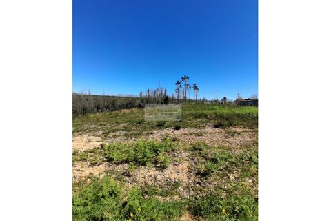 Helårsgrund i Agueda, Aveiro, Agueda - € 66.000 | Ref: 6848 - foto 3