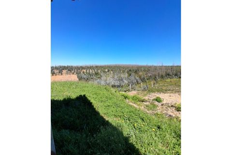 Helårsgrund i Agueda, Aveiro, Agueda - € 66.000 | Ref: 6848 - foto 6
