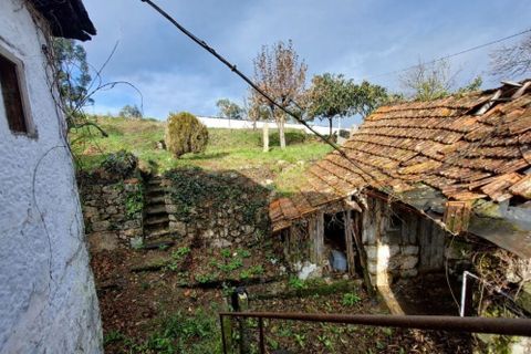 Byhus i Penafiel, Porto, Penafiel - € 78.000 | Ref: 11222 - foto 4