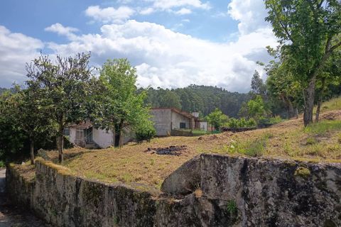 Byhus i Penafiel, Porto, Penafiel - € 78.000 | Ref: 11222 - foto 23