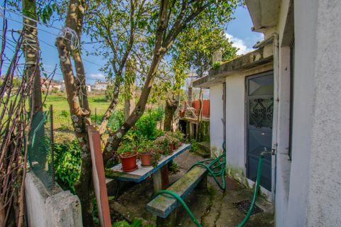 Rækkehus i Santo Tirso, Porto, Santo Tirso - € 239.900 | Ref: 11220 - foto 14