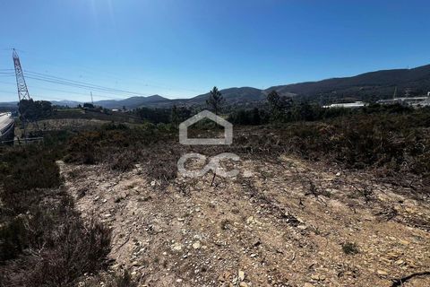 Helårsgrund i Paredes, Porto, Paredes - € 170.000 | Ref: 365/T/03337 - foto 3