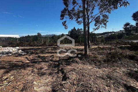 Helårsgrund i Paredes, Porto, Paredes - € 170.000 | Ref: 365/T/03337 - foto 5
