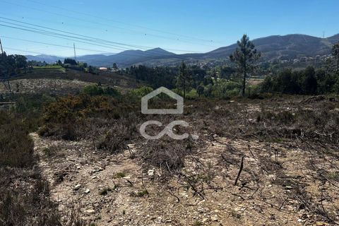 Helårsgrund i Paredes, Porto, Paredes - € 170.000 | Ref: 365/T/03337 - foto 7