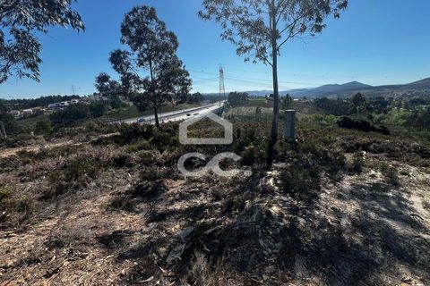 Helårsgrund i Paredes, Porto, Paredes - € 170.000 | Ref: 365/T/03337 - foto 8