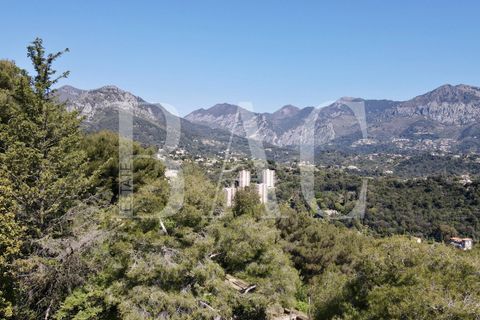 Villa i Roquebrune-Cap-Martin, Alpes-Maritimes, Roquebrune-Cap-Martin - € 5.900.000 | Ref: XP01793 - foto 9