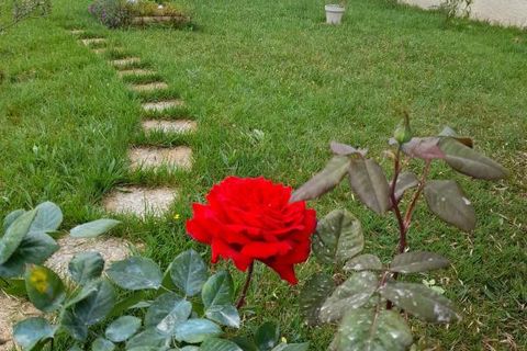 Villa a Couiza, Aude, Couiza - € 245.000 | Ref: 9343 - foto 20