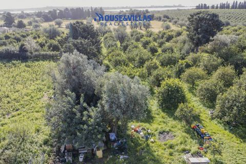 Villa i Noto, Siracusa, Noto - € 430.000 | Ref: 1271 - foto 8