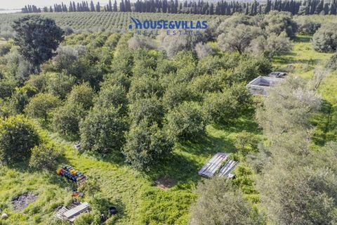 Villa i Noto, Siracusa, Noto - € 430.000 | Ref: 1271 - foto 12