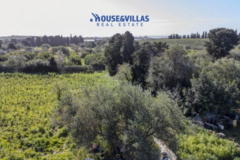 Villa i Noto, Siracusa, Noto - € 430.000 | Ref: 1271 - foto 13