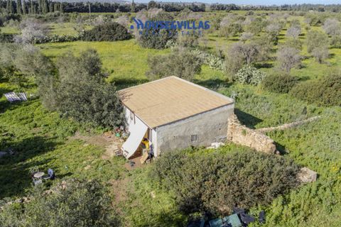 Villa i Noto, Siracusa, Noto - € 430.000 | Ref: 1271 - foto 14