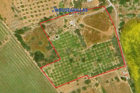 Villa i Noto, Siracusa, Noto - € 430.000 | Ref: 1271 - foto 15