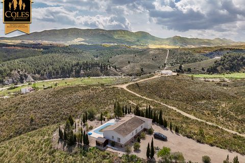 Villa i Velez-Rubio, Almeria, Velez-Rubio - € 235.000 | Ref: RUB3V23 - foto 7