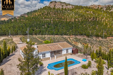 Villa i Velez-Rubio, Almeria, Velez-Rubio - € 235.000 | Ref: RUB3V23 - foto 24