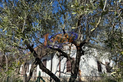 Villa a Poggiofiorito, Chieti, Poggiofiorito - € 98.000 | Ref: 86816225 - foto 5