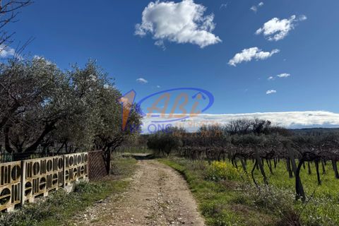 Villa a Poggiofiorito, Chieti, Poggiofiorito - € 98.000 | Ref: 86816225 - foto 27