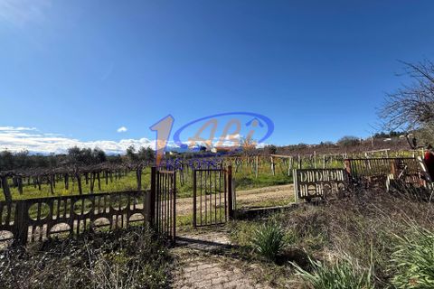 Villa a Poggiofiorito, Chieti, Poggiofiorito - € 98.000 | Ref: 86816225 - foto 29