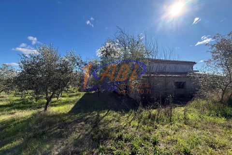 Villa a Poggiofiorito, Chieti, Poggiofiorito - € 98.000 | Ref: 86816225 - foto 30