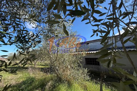 Villa a Poggiofiorito, Chieti, Poggiofiorito - € 98.000 | Ref: 86816225 - foto 31