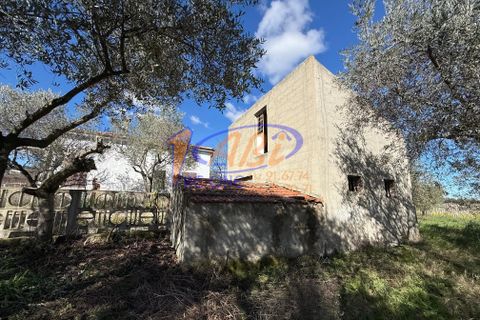 Villa a Poggiofiorito, Chieti, Poggiofiorito - € 98.000 | Ref: 86816225 - foto 33