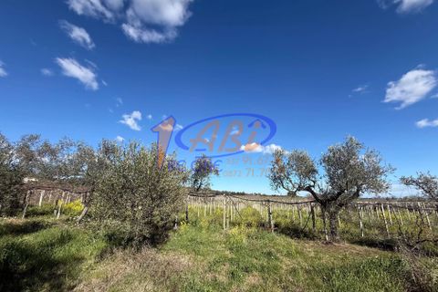 Villa a Poggiofiorito, Chieti, Poggiofiorito - € 98.000 | Ref: 86816225 - foto 34