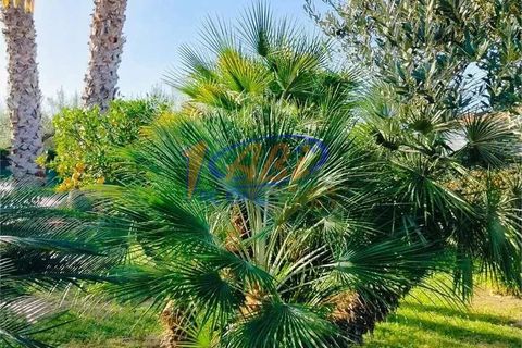 Villa i Treglio, Chieti, Treglio - € 880.000 | Ref: 86740817 - foto 5