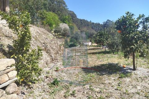 Helårsgrund i Ponte de Lima, Viana do Castelo, Ponte de Lima - € 58.000 | Ref: TL040 - foto 2