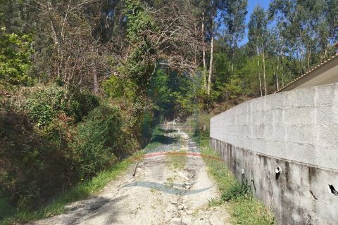 Helårsgrund i Ponte de Lima, Viana do Castelo, Ponte de Lima - € 58.000 | Ref: TL040 - foto 13
