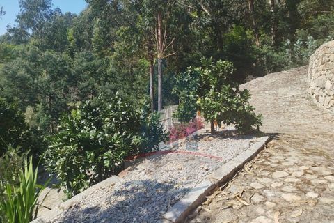 Helårsgrund i Ponte de Lima, Viana do Castelo, Ponte de Lima - € 58.000 | Ref: TL040 - foto 4