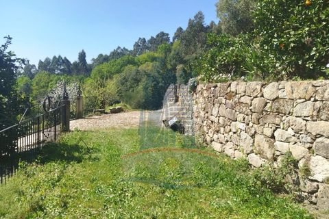 Helårsgrund i Ponte de Lima, Viana do Castelo, Ponte de Lima - € 58.000 | Ref: TL040 - foto 9