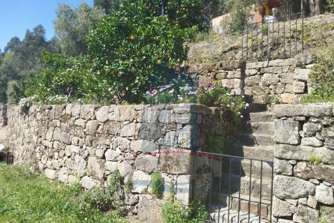 Helårsgrund i Ponte de Lima, Viana do Castelo, Ponte de Lima - € 58.000 | Ref: TL040 - foto 10