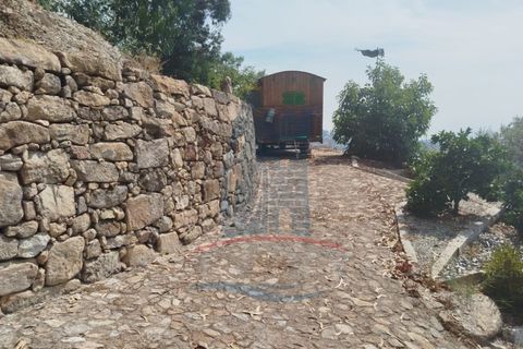 Helårsgrund i Ponte de Lima, Viana do Castelo, Ponte de Lima - € 58.000 | Ref: TL040 - foto 5